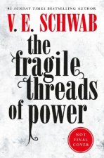 Fragile Threads of Power