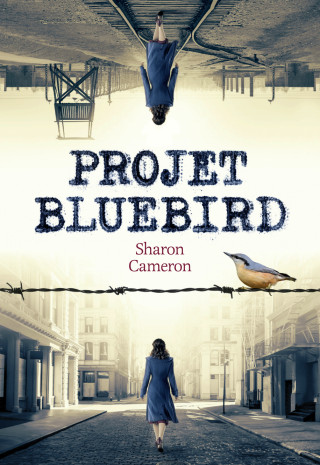 BLUEBIRD