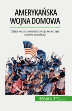 Ameryka?ska wojna domowa