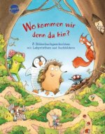 Wo kommen wir denn da hin? 3 Bilderbuchgeschichten mit Labyrinthen und Suchbildern