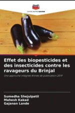 Effet des biopesticides et des insecticides contre les ravageurs du Brinjal