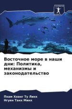Vostochnoe more w nashi dni: Politika, mehanizmy i zakonodatel'stwo