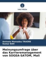 Meinungsumfrage über das Karrieremanagement von SOGEA-SATOM, Mali