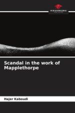 Scandal in the work of Mapplethorpe