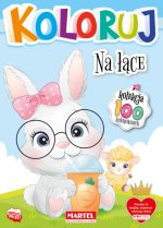 Koloruj. Na łące