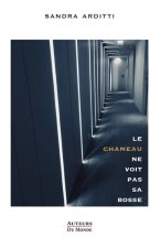 LE CHAMEAU NE VOIT PAS SA BOSSE