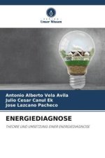 ENERGIEDIAGNOSE
