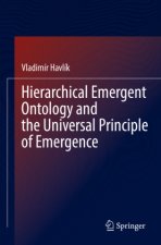 Hierarchical Emergent Ontology and the Universal Principle of Emergence