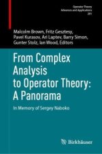 From Complex Analysis to Operator Theory: A Panorama