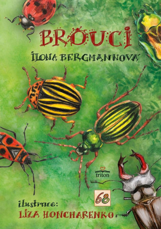 Ilona Bergmannovďż˝ - Brouci
