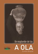 Un resplandor de lúa. A ola