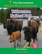Yellowstone National Park: A Natural Wonder
