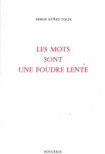 LES MOTS SONT UNE FOUDRE LENTE