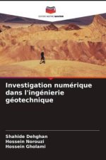 Investigation numérique dans l'ingénierie géotechnique