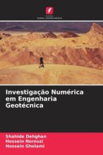 Investigaç?o Numérica em Engenharia Geotécnica