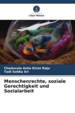 Menschenrechte, soziale Gerechtigkeit und Sozialarbeit