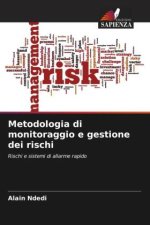 Metodologia di monitoraggio e gestione dei rischi