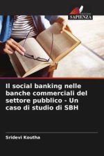 Il social banking nelle banche commerciali del settore pubblico - Un caso di studio di SBH