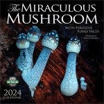 Miraculous Mushroom 2024 Calendar