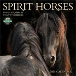 Spirit Horses 2024 Calendar