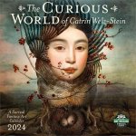 Curious World of Catrin Weltz-Stein 2024 Calendar