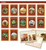 Phonic Books Totem: Decodable Books for Older Readers (CVC, Consonant Blends and Consonant Teams, Alternative Spellings for Vowel Sounds -