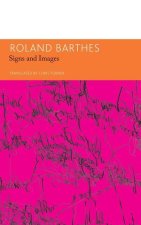 Signs and Images: Writings on Art, Cinema and Photography