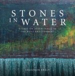 Stones in Water: Essays on Inheritance in the Built Environment