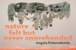 Nature Felt But Never Apprehended