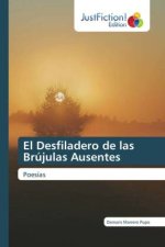 El Desfiladero de las Brújulas Ausentes