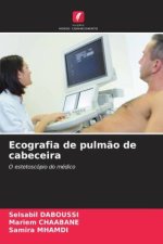 Ecografia de pulm?o de cabeceira