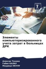 Jelementy komp'üterizirowannogo ucheta zatrat w bol'nicah DRK