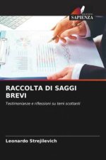 RACCOLTA DI SAGGI BREVI