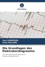 Die Grundlagen des Elektrokardiogramms