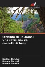 Stabilit? delle dighe: Una revisione dei concetti di base
