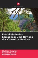 Estabilidade das barragens: Uma Revis?o dos Conceitos Básicos