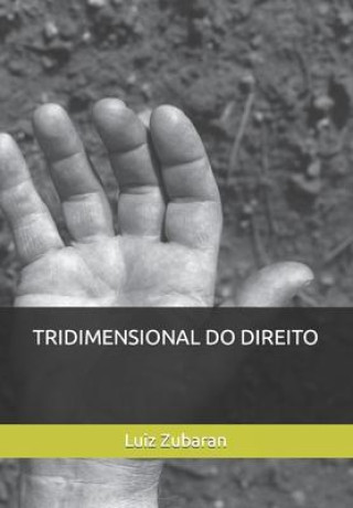 Tridimensional Do Direito