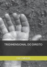 Tridimensional Do Direito