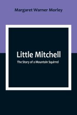Little Mitchell