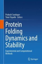 Protein Folding Dynamics and Stability