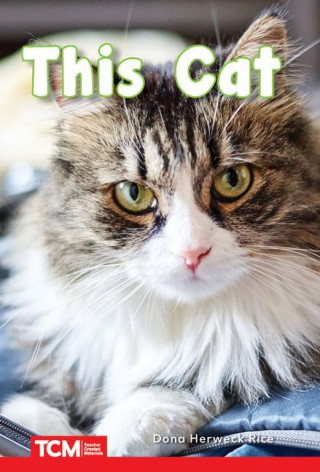 A Cat