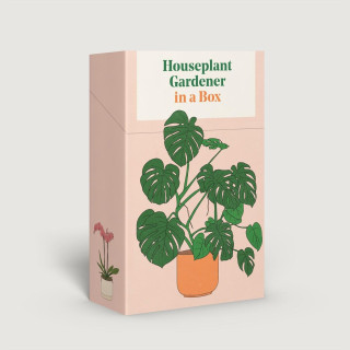Houseplant Gardener in a Box (Cody Bond)(List)