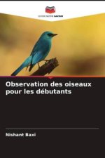 Observation des oiseaux pour les débutants