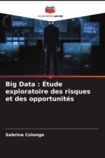 Big Data : Étude exploratoire des risques et des opportunités