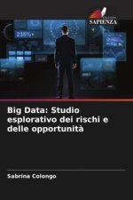 Big Data: Studio esplorativo dei rischi e delle opportunit?