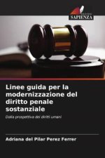 Linee guida per la modernizzazione del diritto penale sostanziale