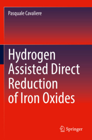 Hydrogen Assisted Direct Reduction of Iron Oxides (Pasquale Cavaliere)()