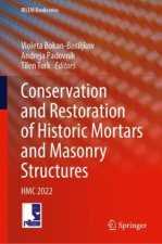 Conservation and Restoration of Historic Mortars and Masonry Structures