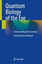 Quantum Biology of the Eye