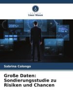 Große Daten: Sondierungsstudie zu Risiken und Chancen